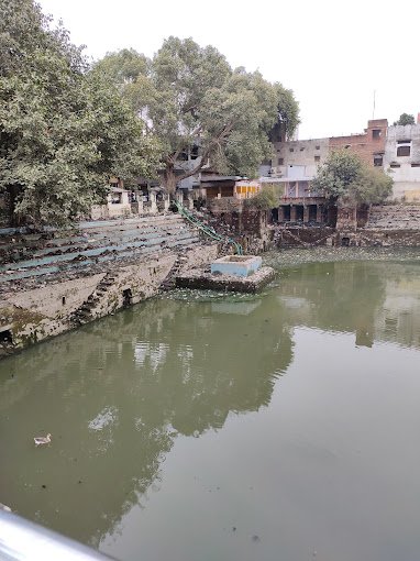 jhansi - buddha vihar dharamshala